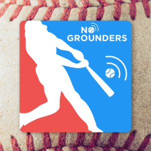 Read more about the article No Grounders – Logo